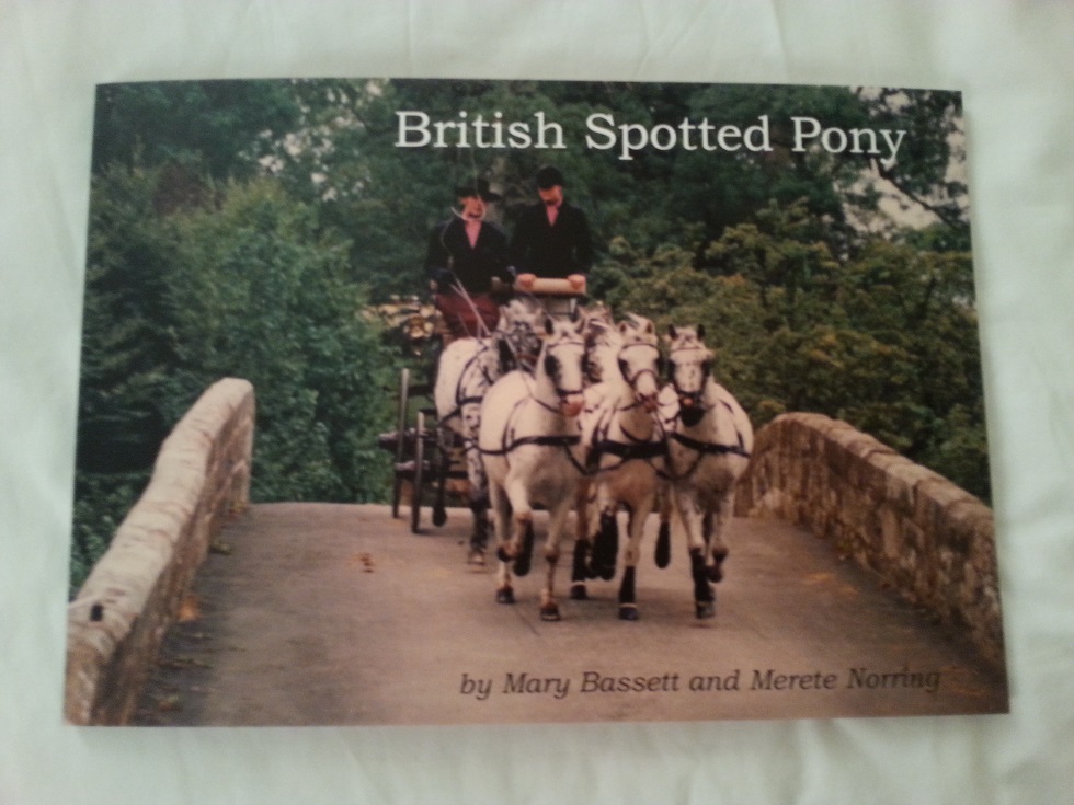 British spotted pony