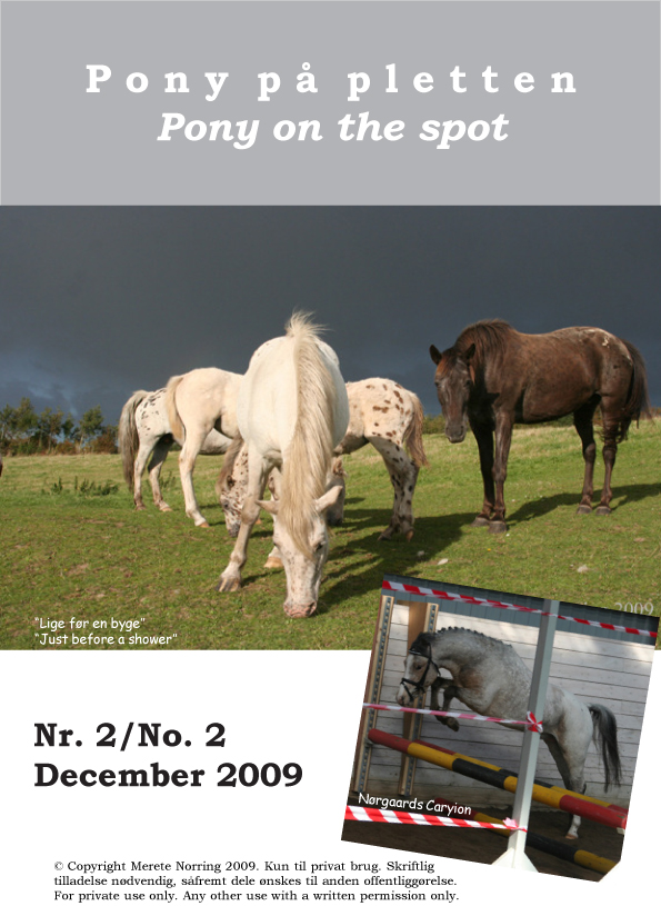 Pony_paa_pletten_2