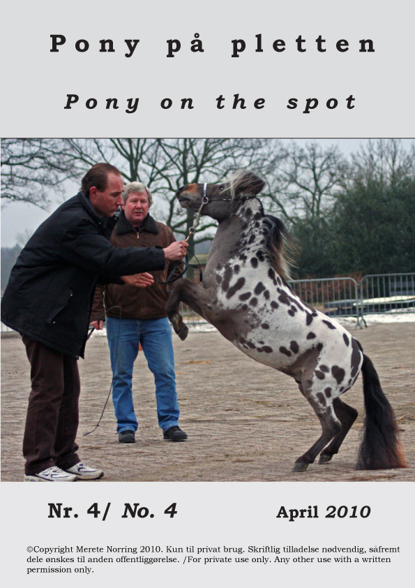 Pony_paa_pletten_4