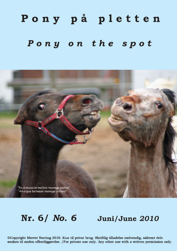Pony_paa_pletten_6